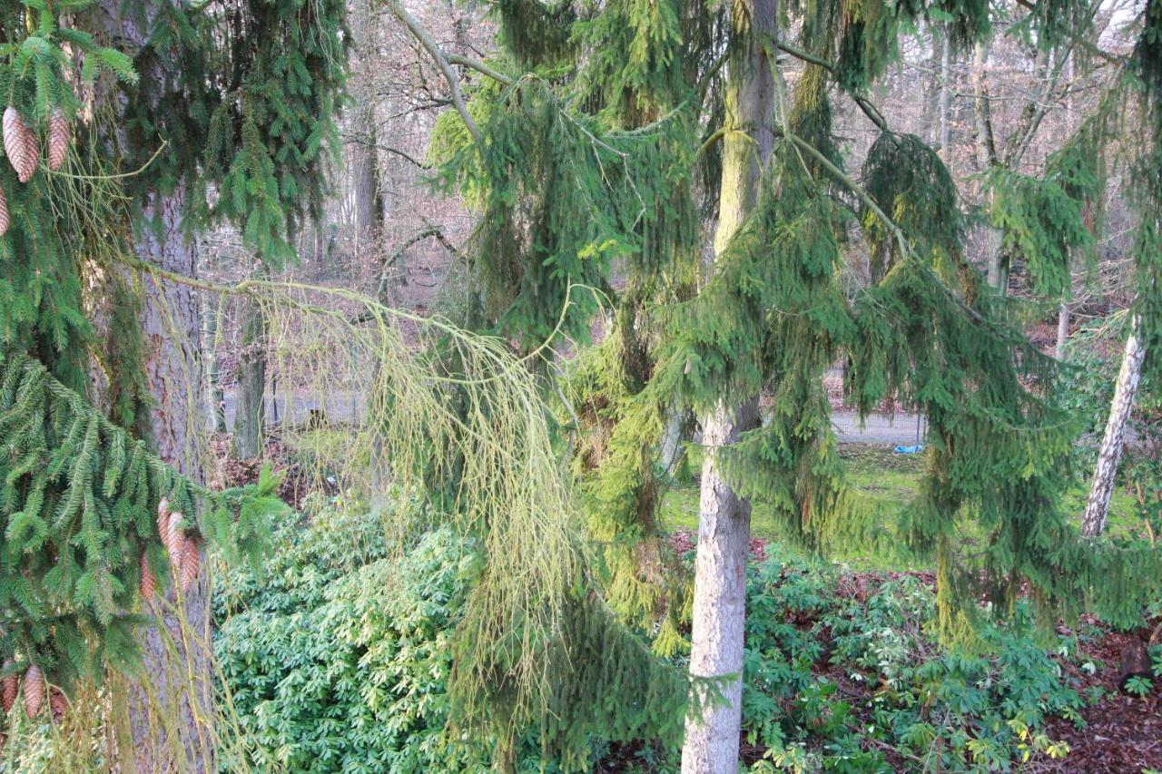 Hardtwald Hotel Bad Homburg vor der Hoehe Luaran gambar
